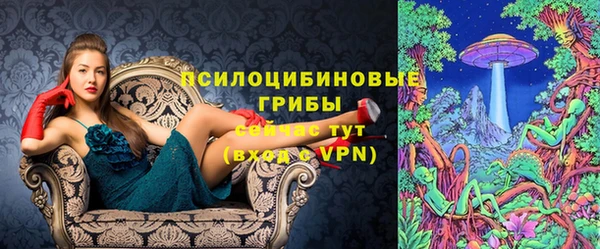 мескалин Алексин