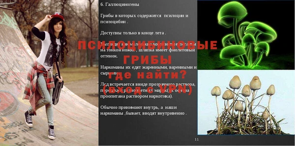 мескалин Алексин