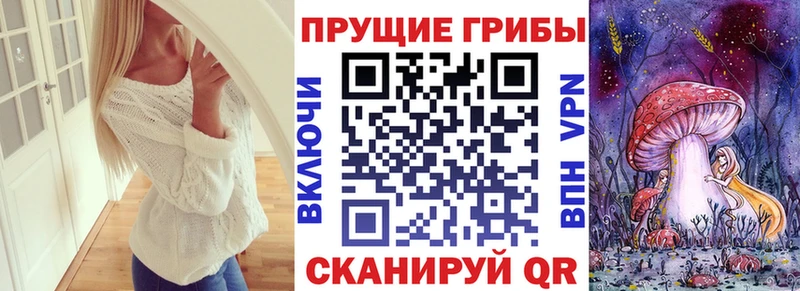 сколько стоит  Алушта  Псилоцибиновые грибы Psilocybe 