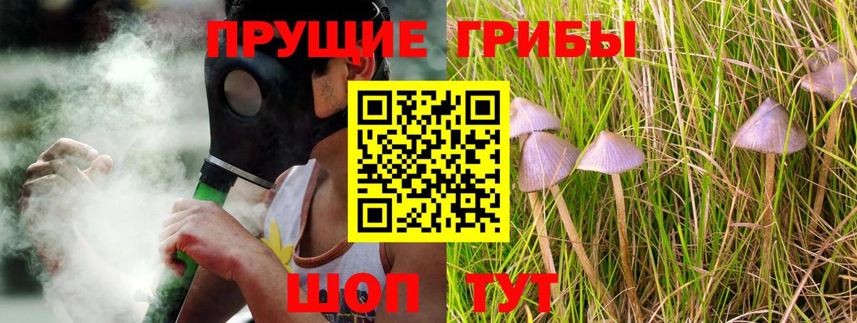 Алушта  Псилоцибиновые грибы Psilocybe  Вход с VPN  Галлюциногенные грибы GOLDEN TEACHER 